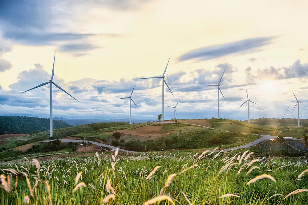 Verschillende windmolens op groene begroeide grasheuvels