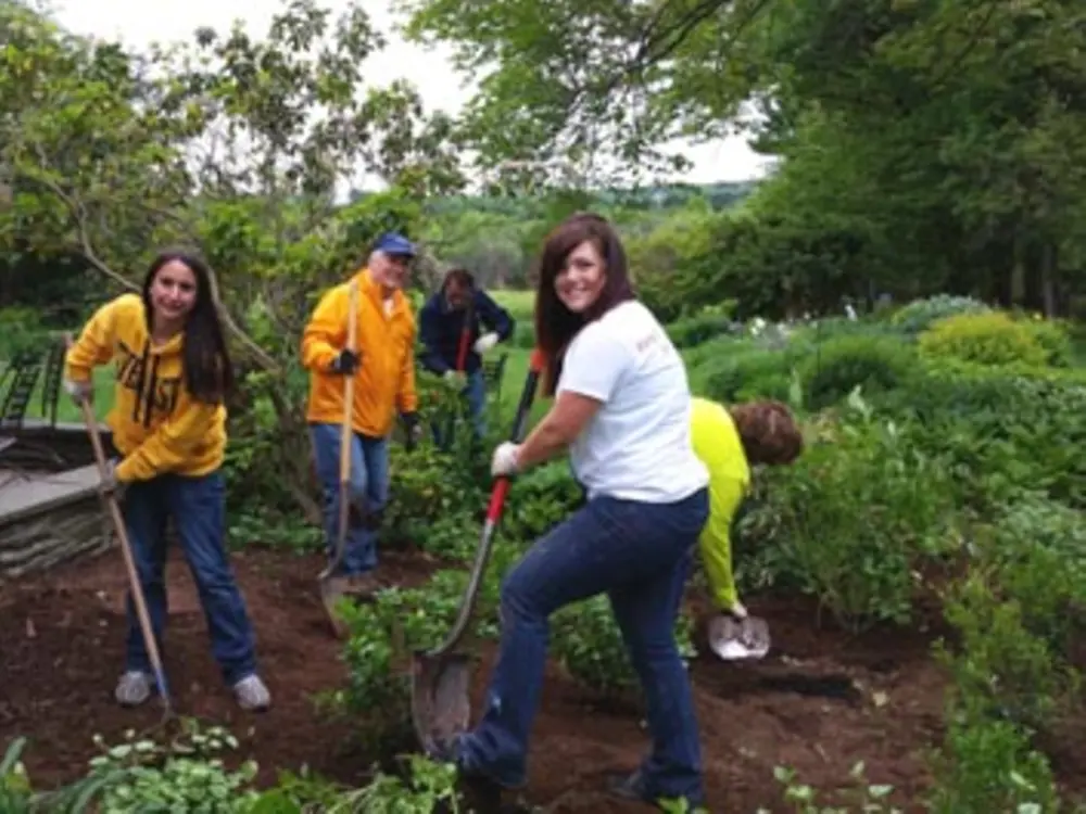 Henkel Finance employees shovelling in a garden