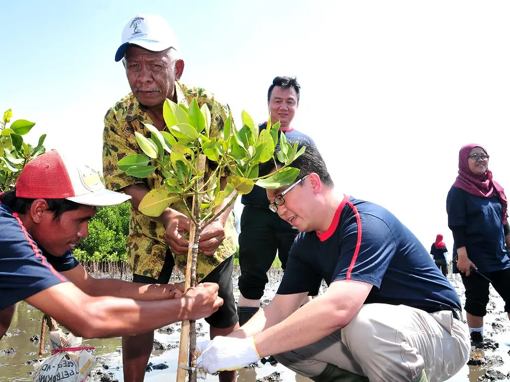 Planting trees for the planet 